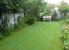 Kwikfynd Lawn and Turf
paracombe