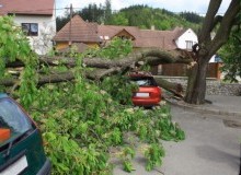 Kwikfynd Tree Cutting Services
paracombe