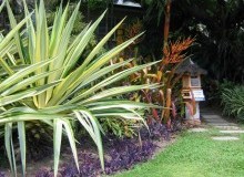 Kwikfynd Tropical Landscaping
paracombe